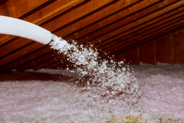 Best Insulation Maintenance and Repair in Elk Ridge, UT